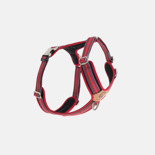 TrailBlazer Dog Harness