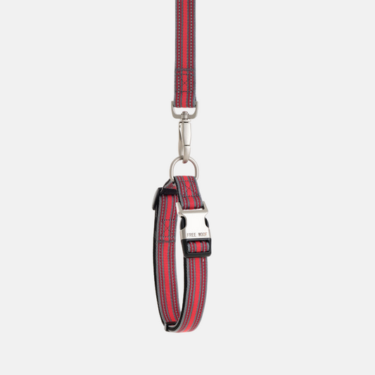 TrailBlazer Collar and Leash Set