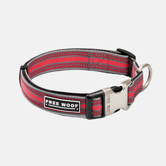 TrailBlazer Dog Collar