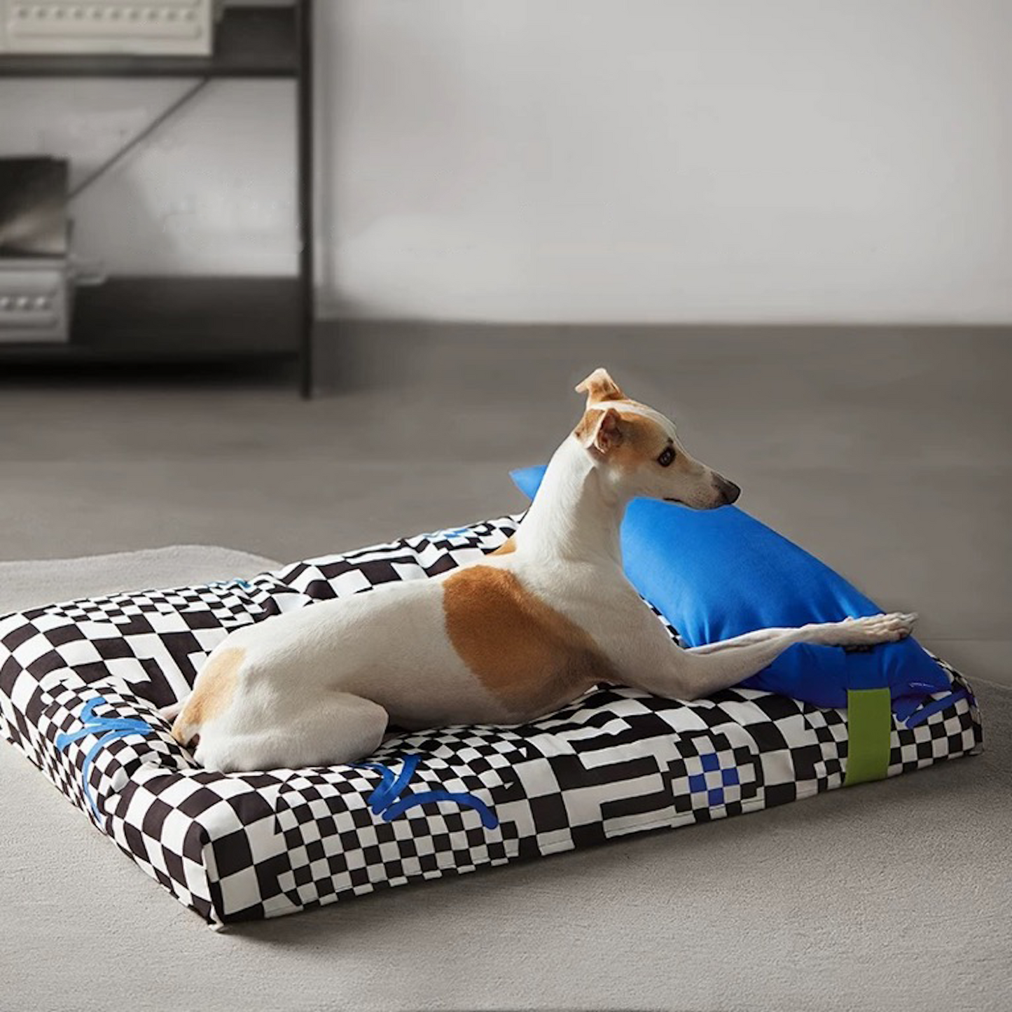 Air Fresh Soft Dog Bed - Brut Blue