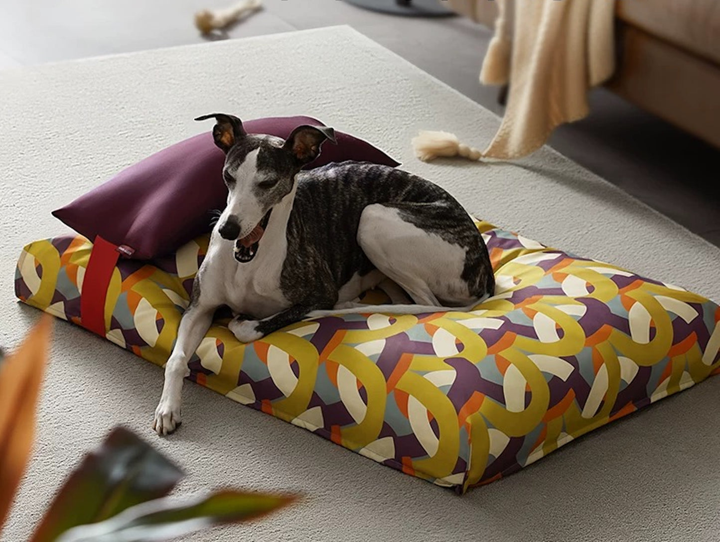 Air Fresh Soft Dog Bed - Morenci Geometry