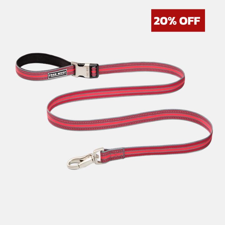 TrailBlazer Dog Leash