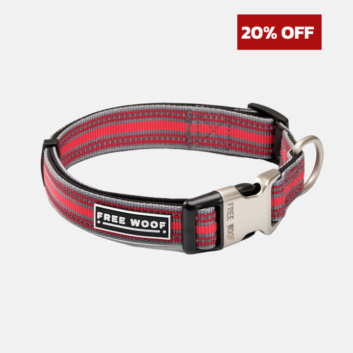 TrailBlazer Dog Collar