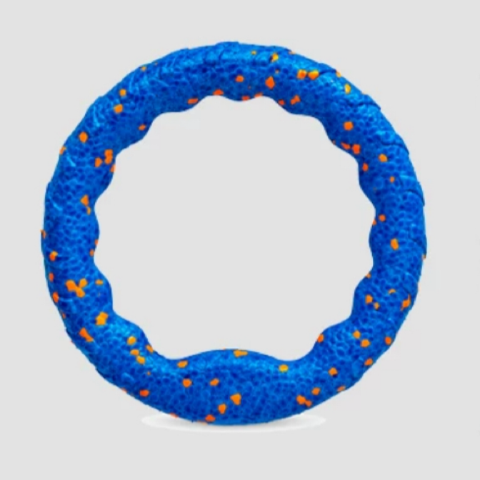 Ring Floating Dog Toy