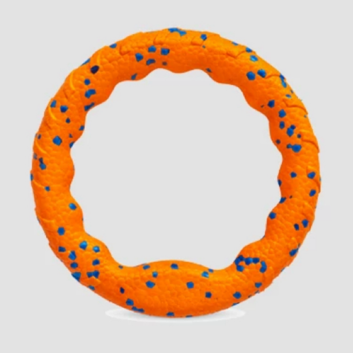 Ring Floating Dog Toy