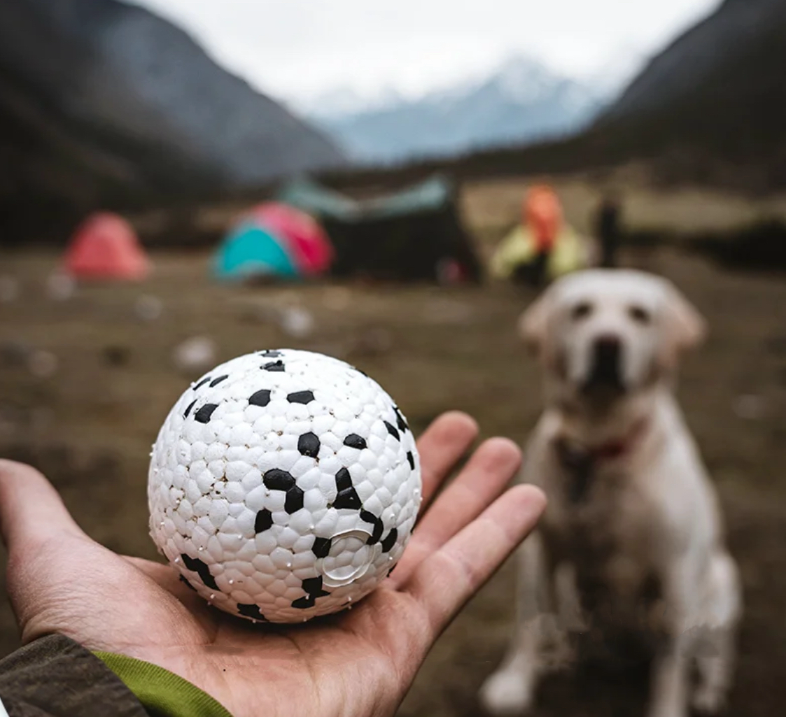 Bite Ball Floating Dog Toy