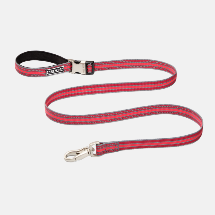 TrailBlazer Dog Leash