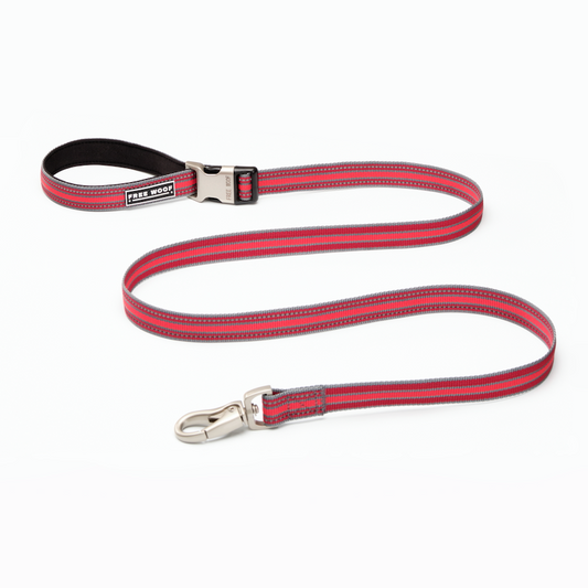 TrailBlazer Adjustable Red Dog Leash