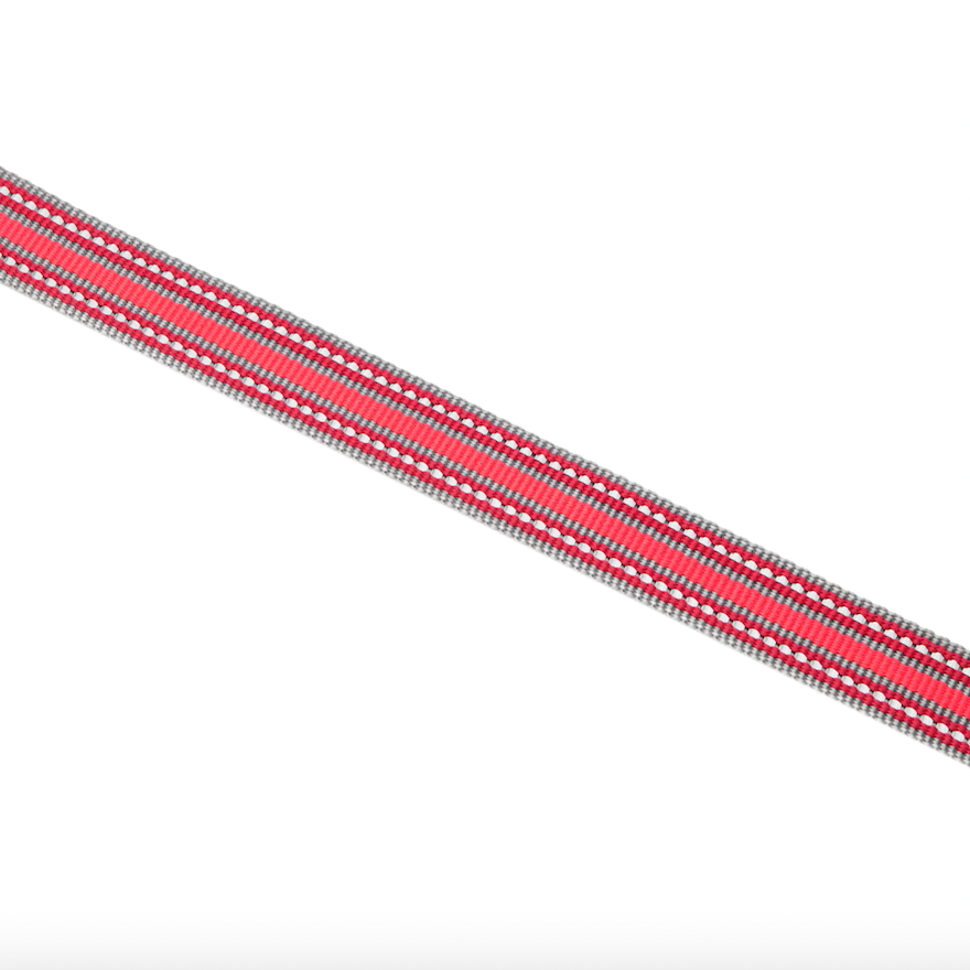 TrailBlazer Adjustable Red Dog Leash