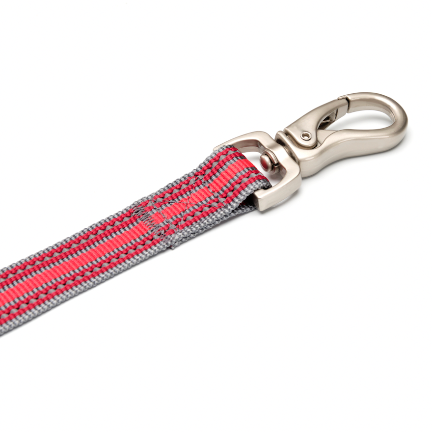 TrailBlazer Adjustable Red Dog Leash