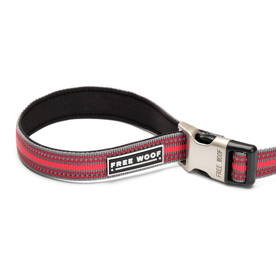 TrailBlazer Adjustable Red Dog Leash