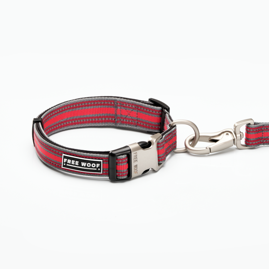 TrailBlazer Adjustable Red Dog Collar