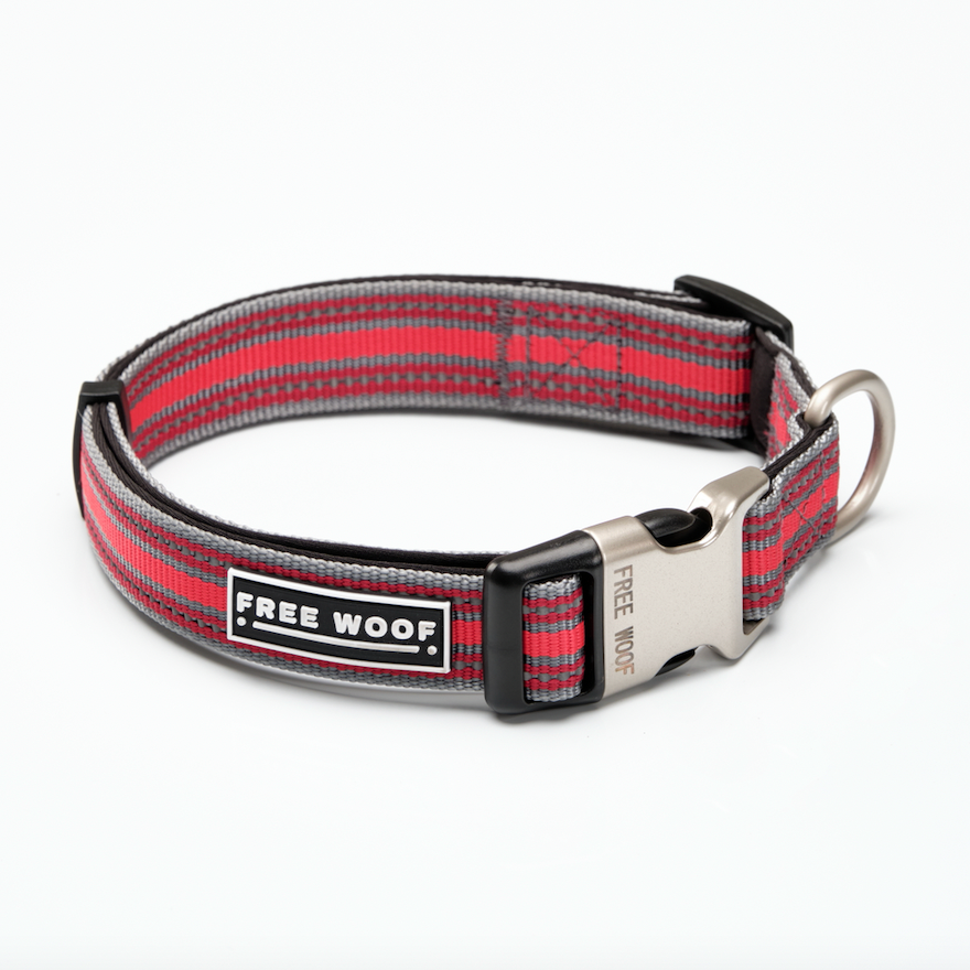 TrailBlazer Adjustable Red Dog Collar